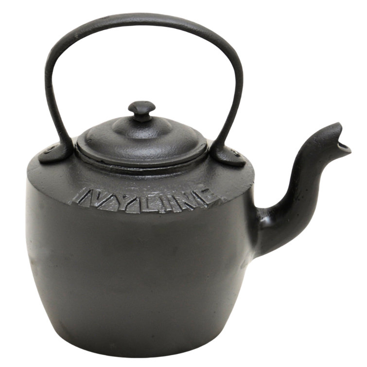 Ivyline Cast Iron Stovetop Kettle | Wayfair.co.uk